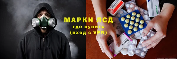 прущие грибы Балабаново