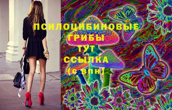 прущие грибы Балабаново