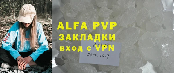 прущие грибы Балабаново
